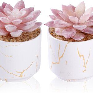 Artificial Plants and Succulents in 2 White Ceramic Pots,Small Fake Plants for O